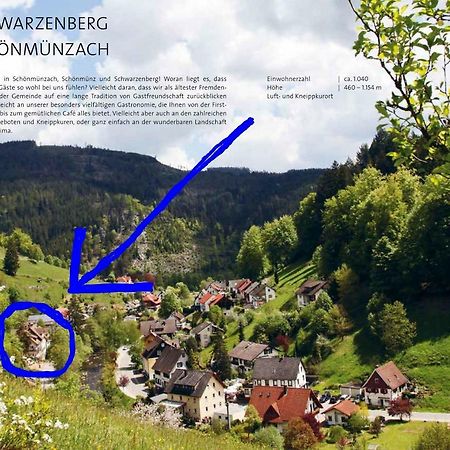 Adieu Alltag: Pension Oesterle Im Schwarzwald Schonmunzach Εξωτερικό φωτογραφία