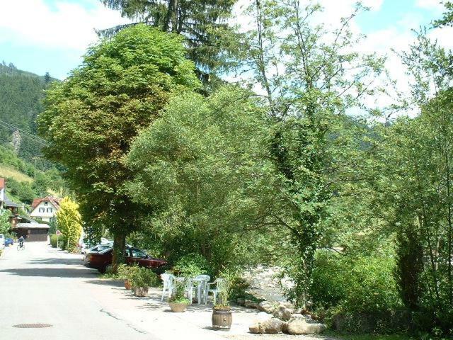 Adieu Alltag: Pension Oesterle Im Schwarzwald Schonmunzach Εξωτερικό φωτογραφία