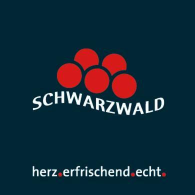 Adieu Alltag: Pension Oesterle Im Schwarzwald Schonmunzach Εξωτερικό φωτογραφία